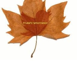 Hoja ruta foramontanos