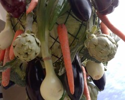 decoración verduras ayuntamiento calahorra