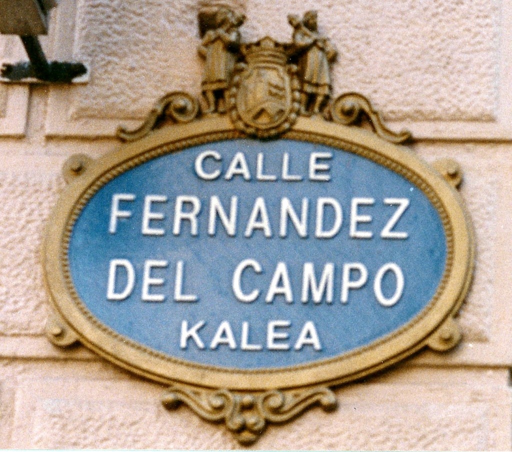 calle fernandez del campo